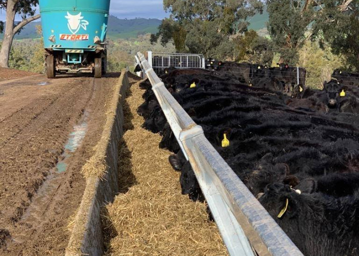Beef Feed Troughs vs Dairy Feed Troughs: A Comparison